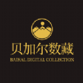 贝加尔数藏app