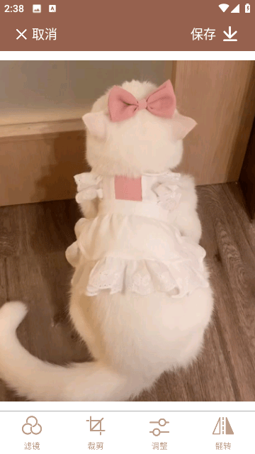 有夏图片编辑PS最新版